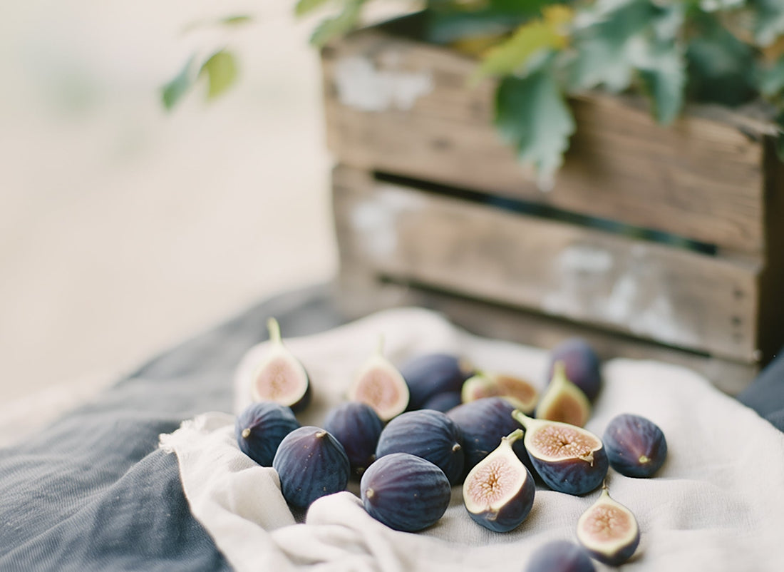 El systems approach y el futuro promisorio de la exportación de higos de Chile a USA