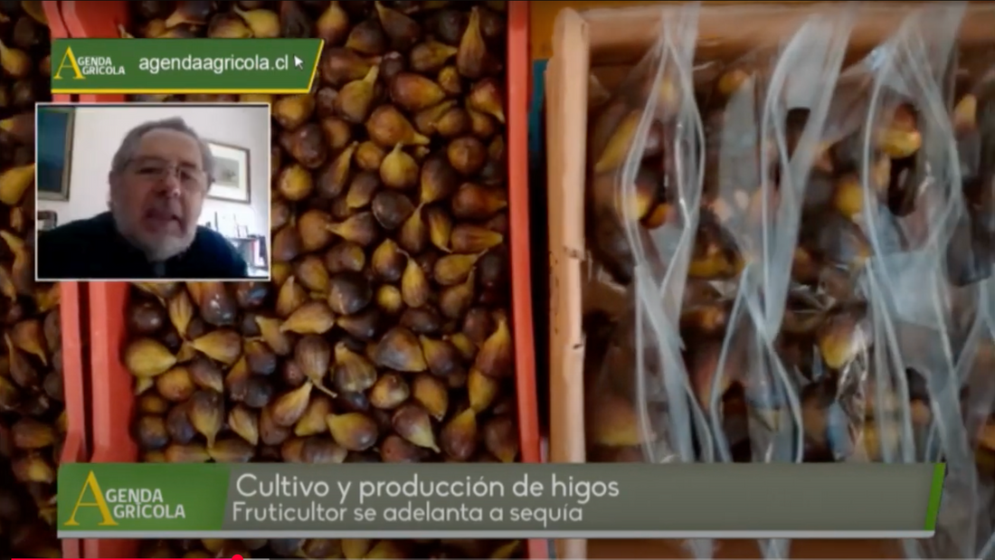 Martín Wielandt de doblevalle, entrevista en Agenda Agrícola de RED TV