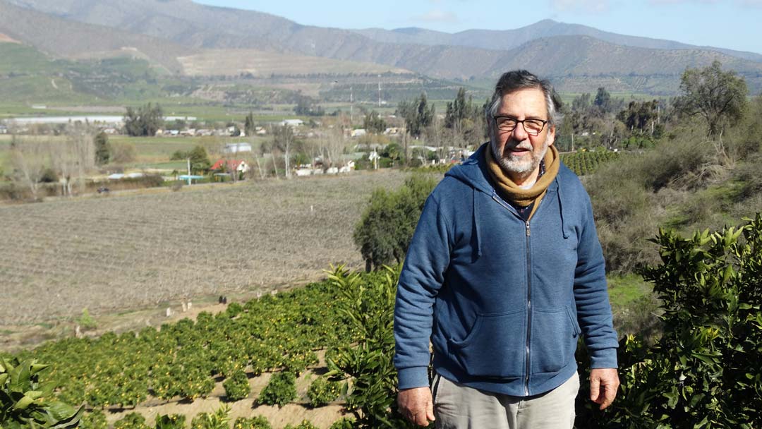 Martín Wielandt fundador de doblevalle en su campo de higos black mission en Mallarauco