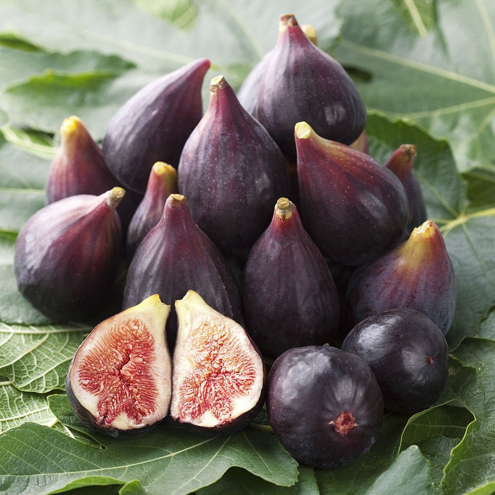 Fresh figs